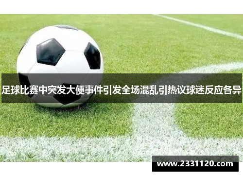 足球比赛中突发大便事件引发全场混乱引热议球迷反应各异